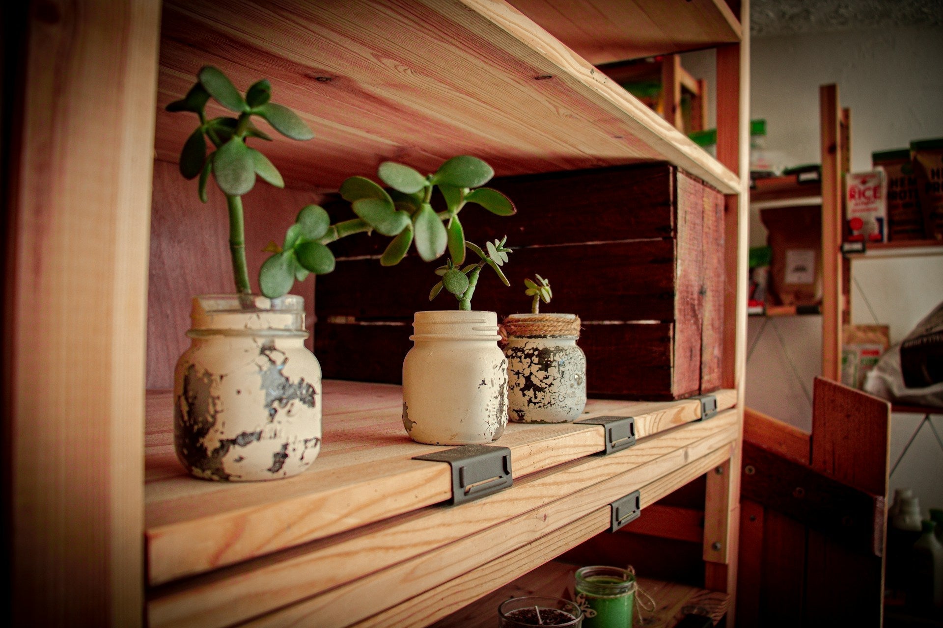 Creative Uses for Hardwood Shelving at Home