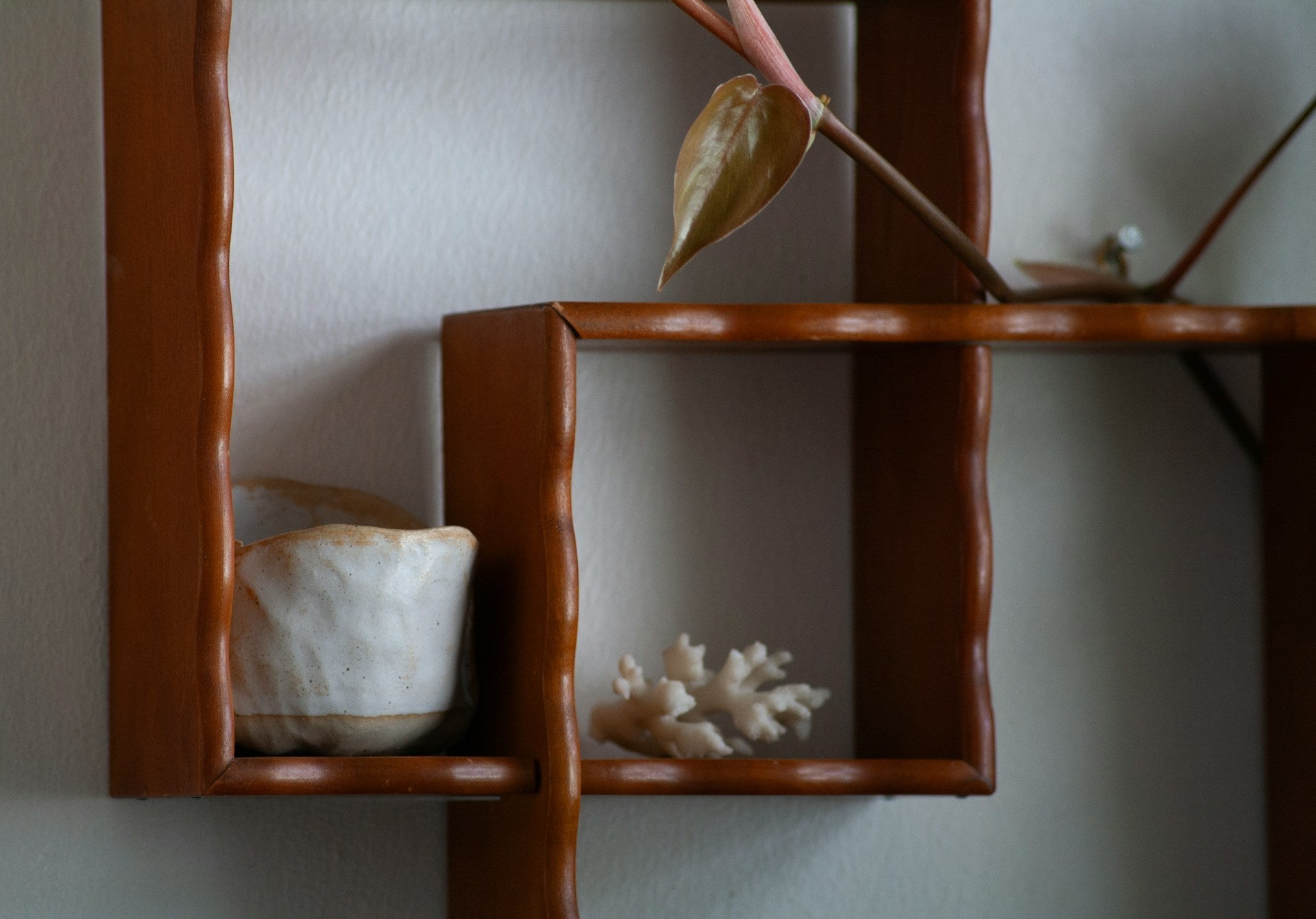 custom wood shelves