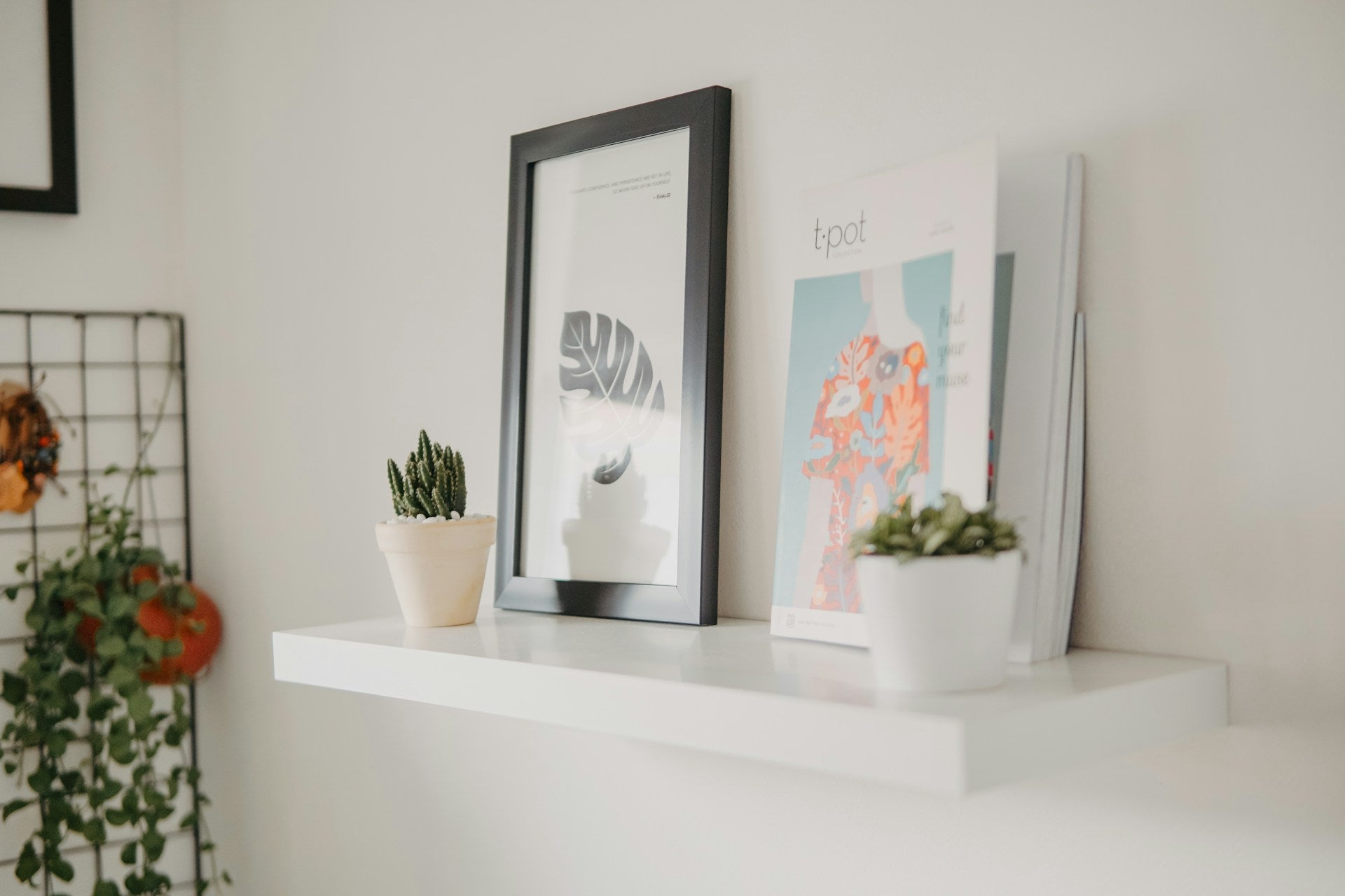Modern Minimalist Shelving
