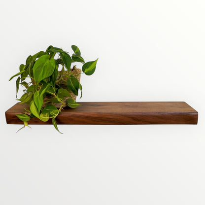 Walnut Live Edge Hardwood Floating Shelf - The Mortise & The Hare